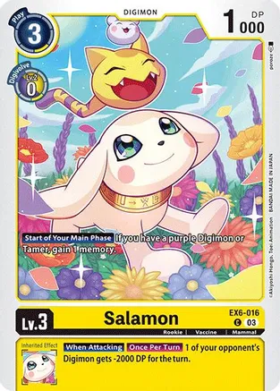 Salamon - EX6-016 - C